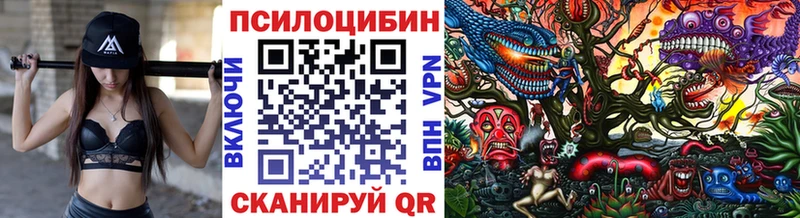 Галлюциногенные грибы Magic Shrooms  Гремячинск 